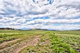 1238 Chicha Road - Photo 6