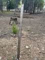 29 Cedar Drive - Photo 15