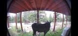 369 Prunes Place - Photo 24