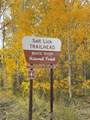 132 Burgundy Circle - Photo 35