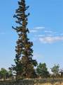 22 Teton Trail - Photo 17