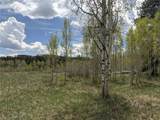 32423 Ute Trail - Photo 2