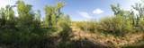 115 Game Trail Road - Photo 33