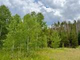 32514 Ute Trail - Photo 4