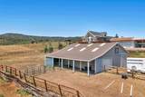 31255 Redtail Lane - Photo 41