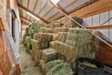 31255 Redtail Lane - Photo 44