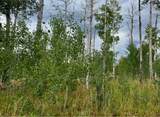 Lot 200 Fargo Way - Photo 2