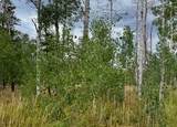 Lot 200 Fargo Way - Photo 3