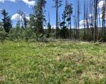 Lot 28 Haywagon Trail - Photo 2