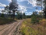 Lot 28 Haywagon Trail - Photo 4