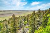 TBD Trout Creek Lane - Photo 11