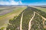 TBD Trout Creek Lane - Photo 13