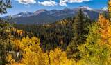 1139 Boreas Pass Road - Photo 48