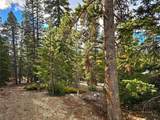 102 Gold Trail - Photo 10