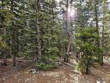 102 Gold Trail - Photo 11
