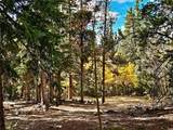102 Gold Trail - Photo 2