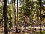 102 Gold Trail - Photo 9