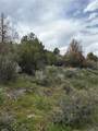 303 Red Sky Road - Photo 19