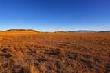 TBD Black Beaver Road - Photo 2
