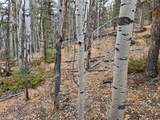 210 Tepee Trail - Photo 6