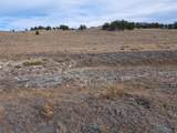 1282 Ute Trace - Photo 14