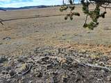 1282 Ute Trace - Photo 16