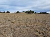 1282 Ute Trace - Photo 17