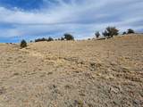 1282 Ute Trace - Photo 18