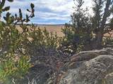 1282 Ute Trace - Photo 19