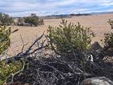 1282 Ute Trace - Photo 5