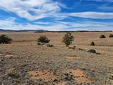 1282 Ute Trace - Photo 6