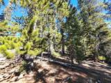 1400 Bobcat Lane - Photo 11