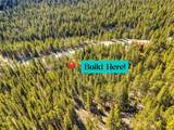 2167 Buckskin Road - Photo 7