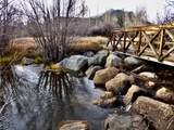 120 Hawn Drive - Photo 40