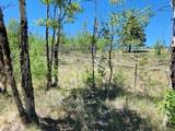 542 Thickspike Road - Photo 34