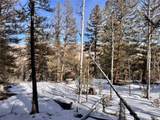 2834 Middle Fork - Photo 16