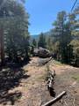 32764 Lodgepole Circle - Photo 45