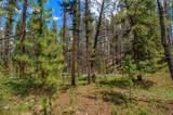 525 Gold King Way - Photo 36
