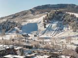 1010 Yampa Street - Photo 13