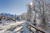 1010 Yampa Street - Photo 6