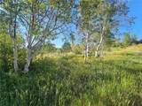31145 Broken Talon Trail - Photo 4