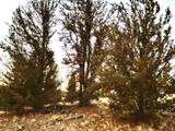 99 Hackney Lane - Photo 41