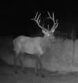 OOO Antlers Trail - Photo 24
