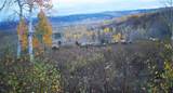 55966 Hannahs Way - Photo 40