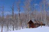 55966 Hannahs Way - Photo 45