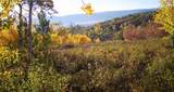 55966 Hannahs Way - Photo 5