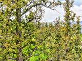 522 Tepee Trail - Photo 8