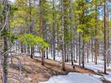 779 Gold King Way - Photo 11