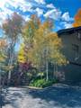36836 Tree Haus Drive - Photo 23