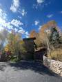 36836 Tree Haus Drive - Photo 24